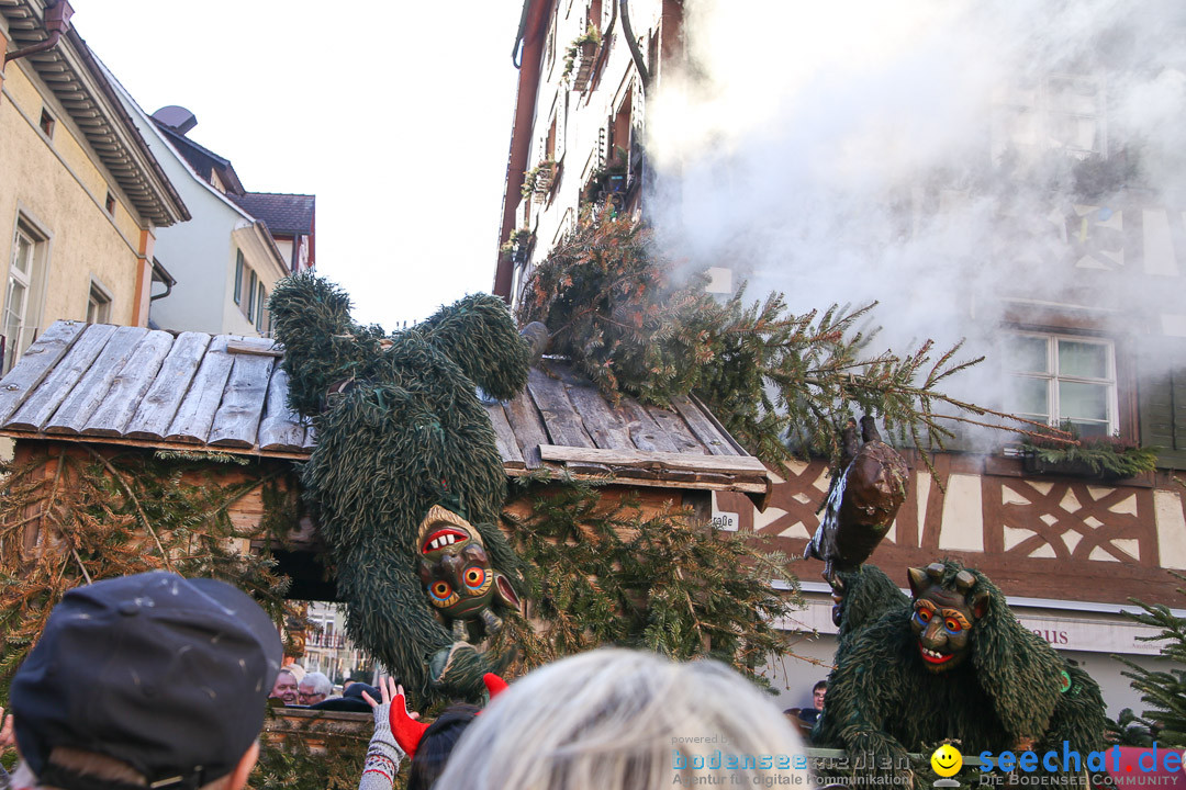 Narrensprung - Narrenbaumsetzen: Meersburg am Bodensee, 23.02.2014