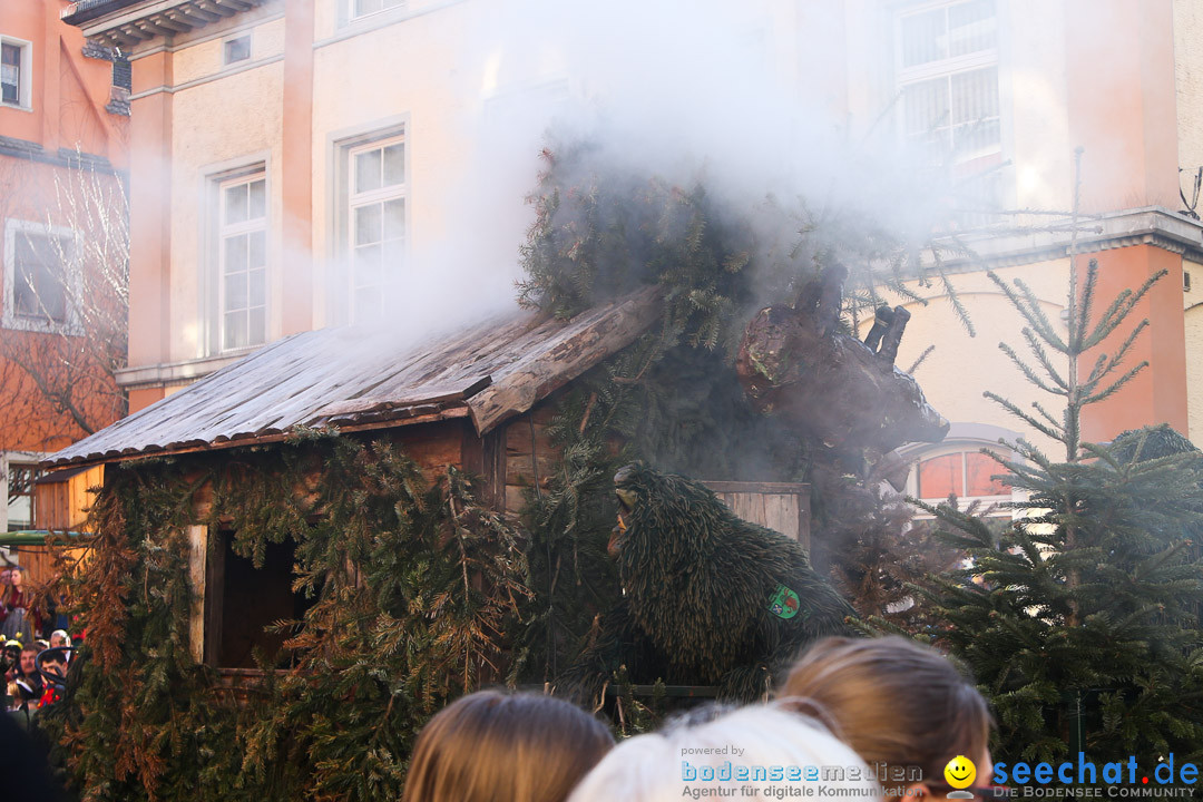 Narrensprung - Narrenbaumsetzen: Meersburg am Bodensee, 23.02.2014