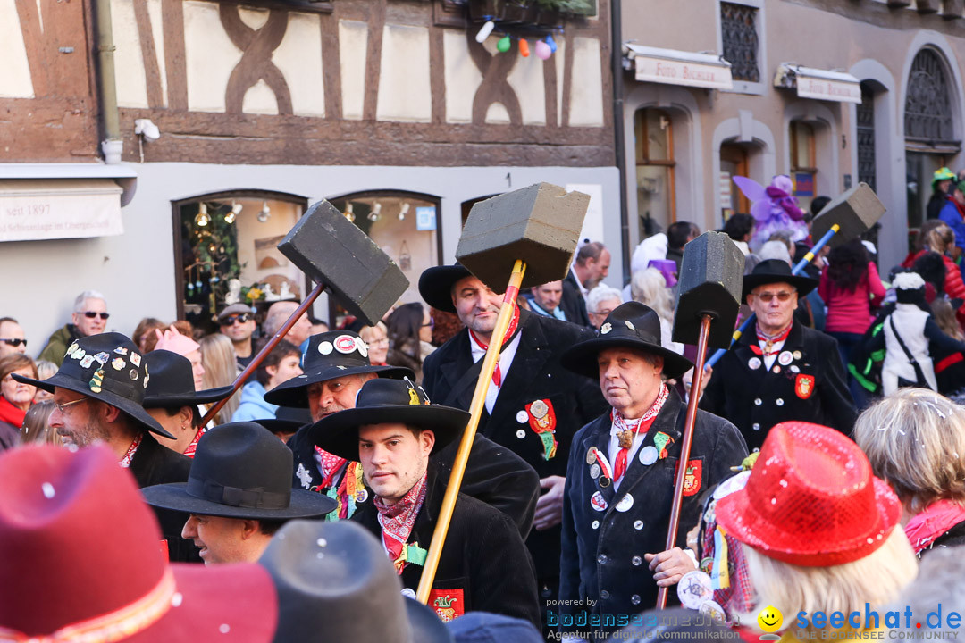 Narrensprung - Narrenbaumsetzen: Meersburg am Bodensee, 23.02.2014