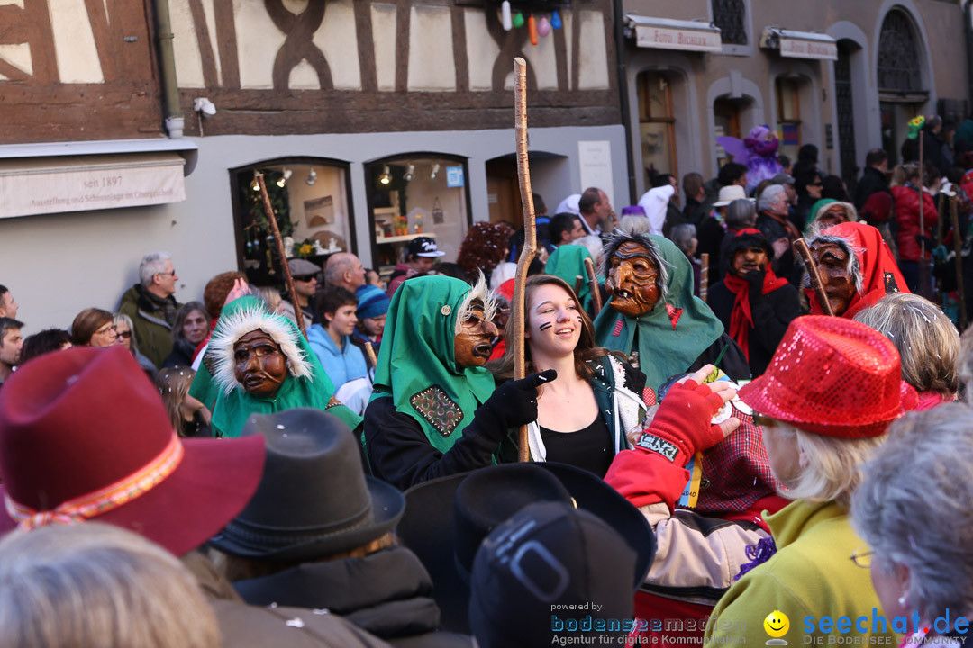 Narrensprung - Narrenbaumsetzen: Meersburg am Bodensee, 23.02.2014