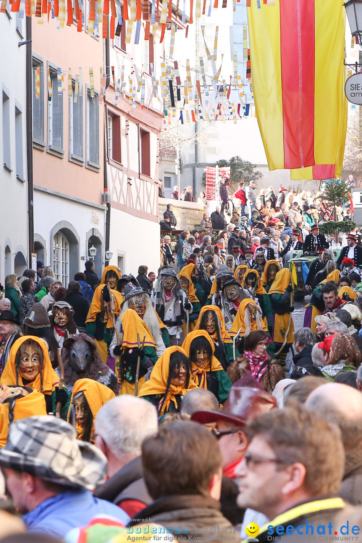 Narrensprung - Narrenbaumsetzen: Meersburg am Bodensee, 23.02.2014