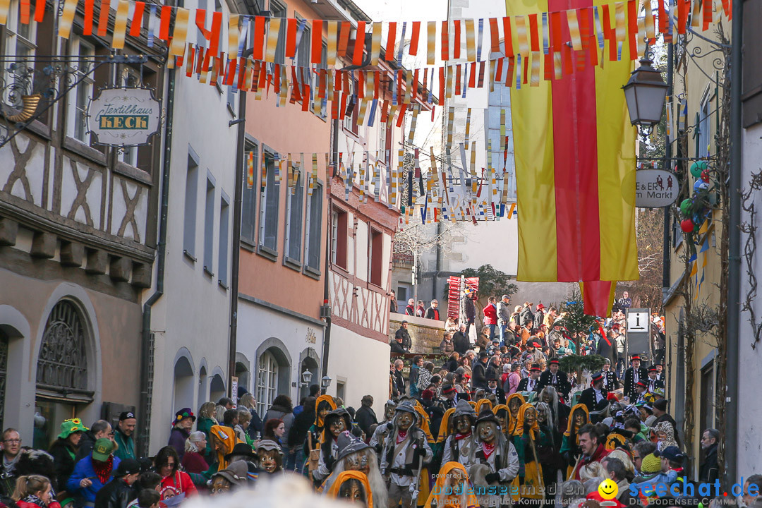 Narrensprung - Narrenbaumsetzen: Meersburg am Bodensee, 23.02.2014