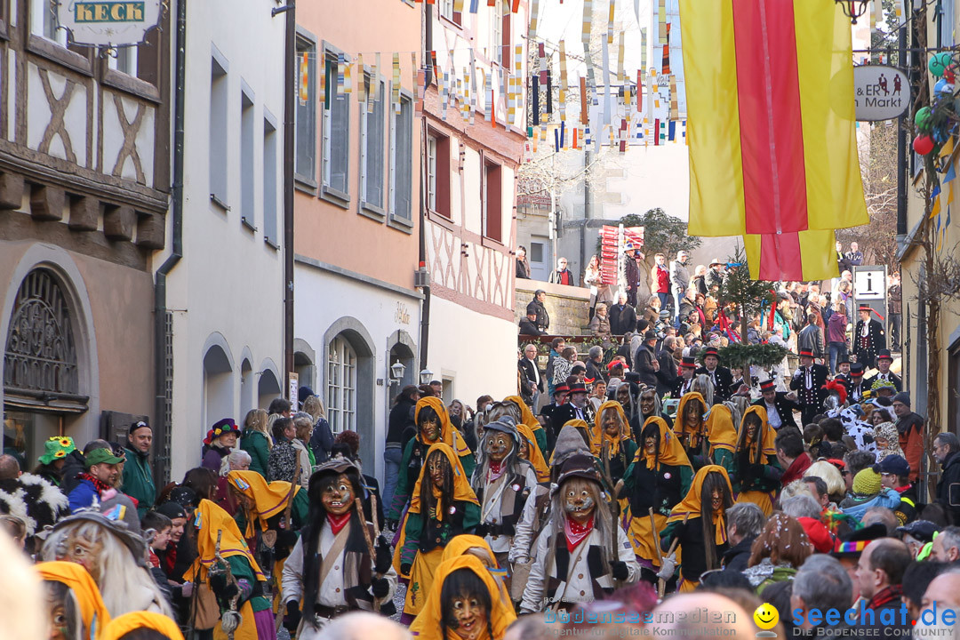 Narrensprung - Narrenbaumsetzen: Meersburg am Bodensee, 23.02.2014