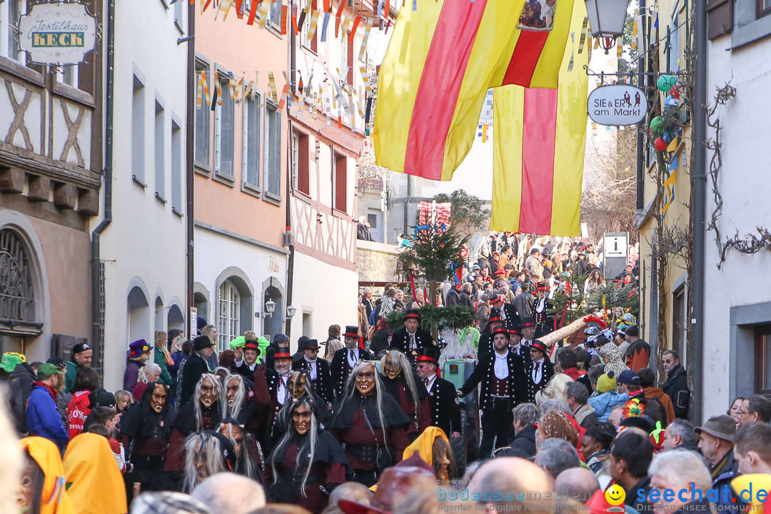 Narrensprung - Narrenbaumsetzen: Meersburg am Bodensee, 23.02.2014