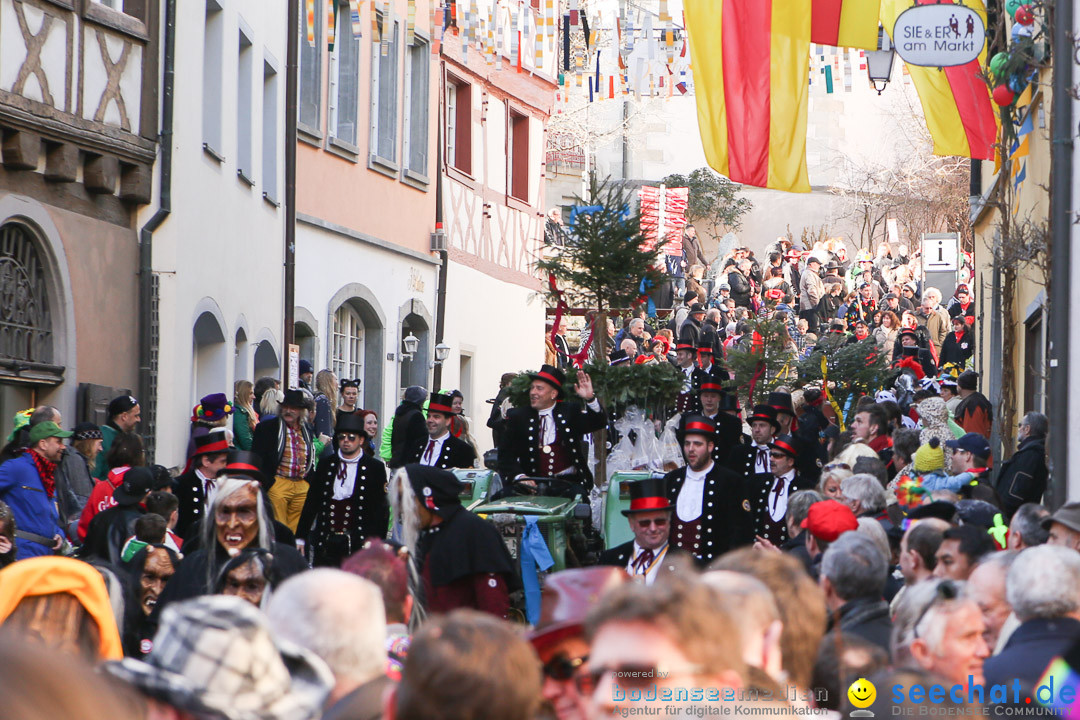 Narrensprung - Narrenbaumsetzen: Meersburg am Bodensee, 23.02.2014