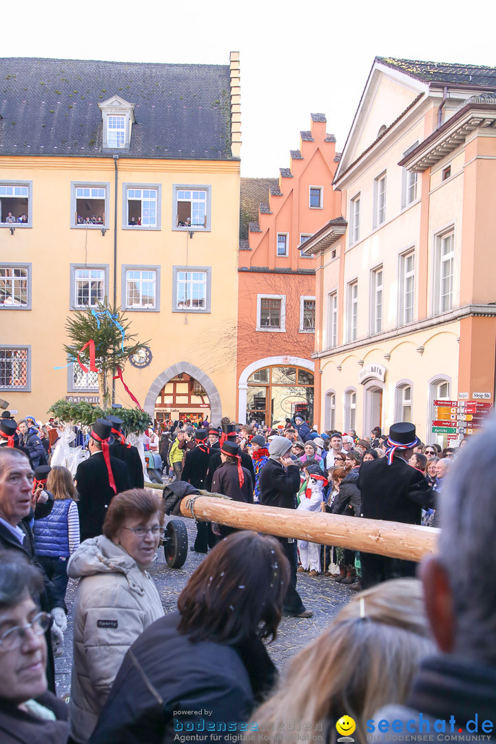 Narrensprung - Narrenbaumsetzen: Meersburg am Bodensee, 23.02.2014