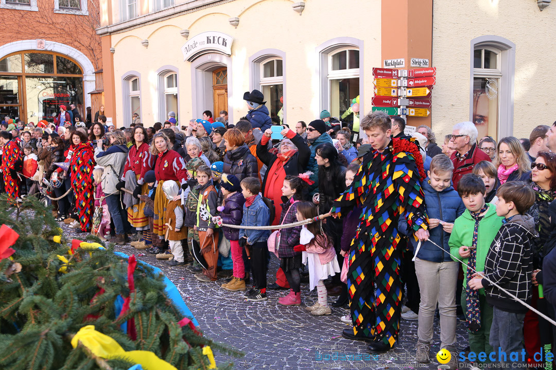 Narrensprung - Narrenbaumsetzen: Meersburg am Bodensee, 23.02.2014