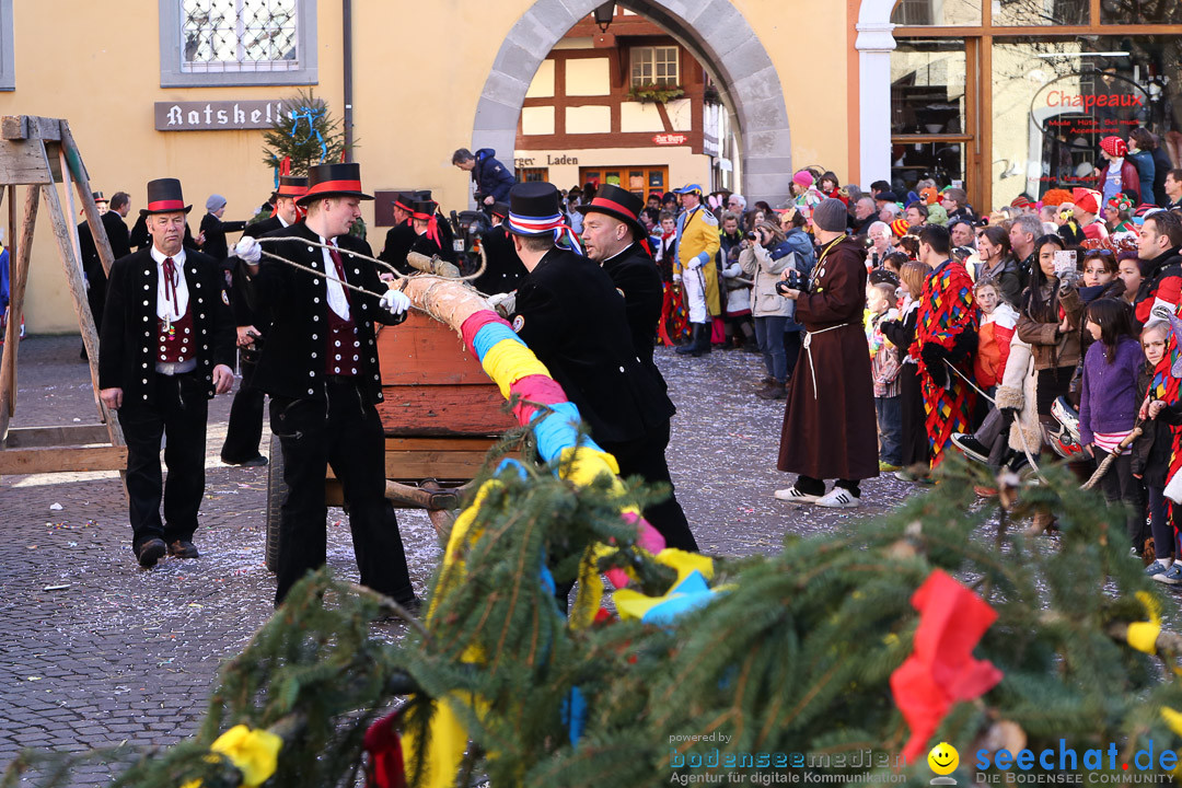 Narrensprung - Narrenbaumsetzen: Meersburg am Bodensee, 23.02.2014