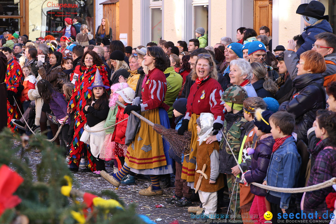 Narrensprung - Narrenbaumsetzen: Meersburg am Bodensee, 23.02.2014