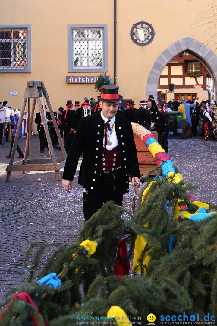 Narrensprung - Narrenbaumsetzen: Meersburg am Bodensee, 23.02.2014