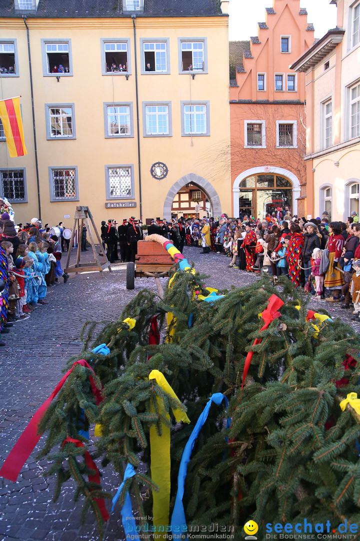 Narrensprung - Narrenbaumsetzen: Meersburg am Bodensee, 23.02.2014