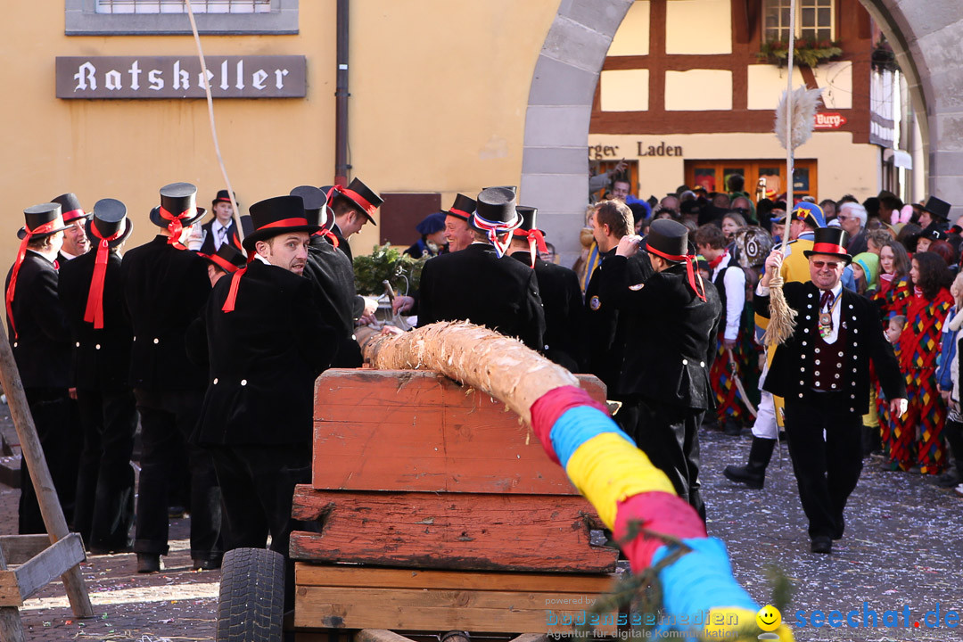 Narrensprung - Narrenbaumsetzen: Meersburg am Bodensee, 23.02.2014