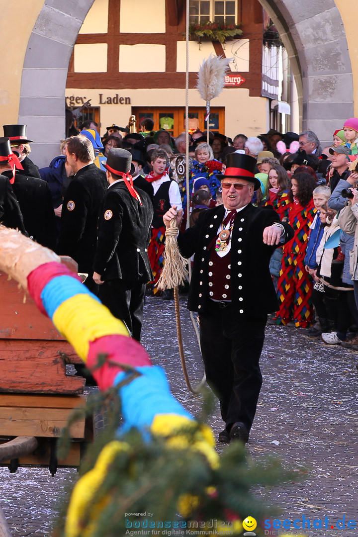 Narrensprung - Narrenbaumsetzen: Meersburg am Bodensee, 23.02.2014