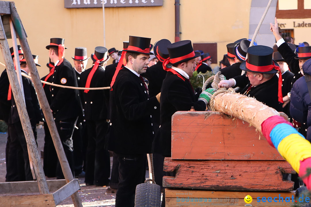 Narrensprung - Narrenbaumsetzen: Meersburg am Bodensee, 23.02.2014