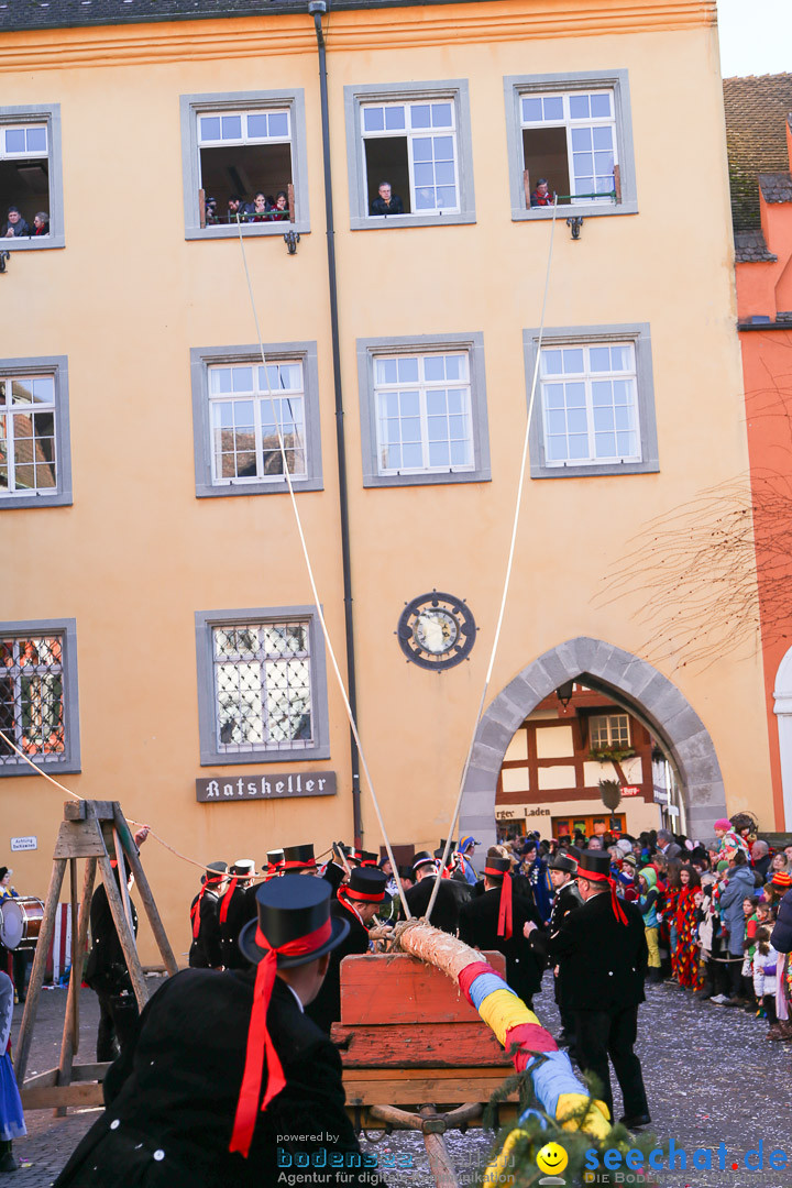 Narrensprung - Narrenbaumsetzen: Meersburg am Bodensee, 23.02.2014