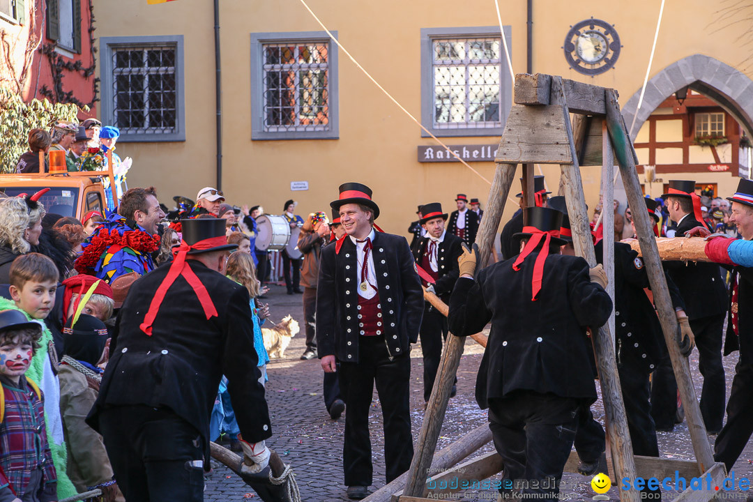 Narrensprung - Narrenbaumsetzen: Meersburg am Bodensee, 23.02.2014