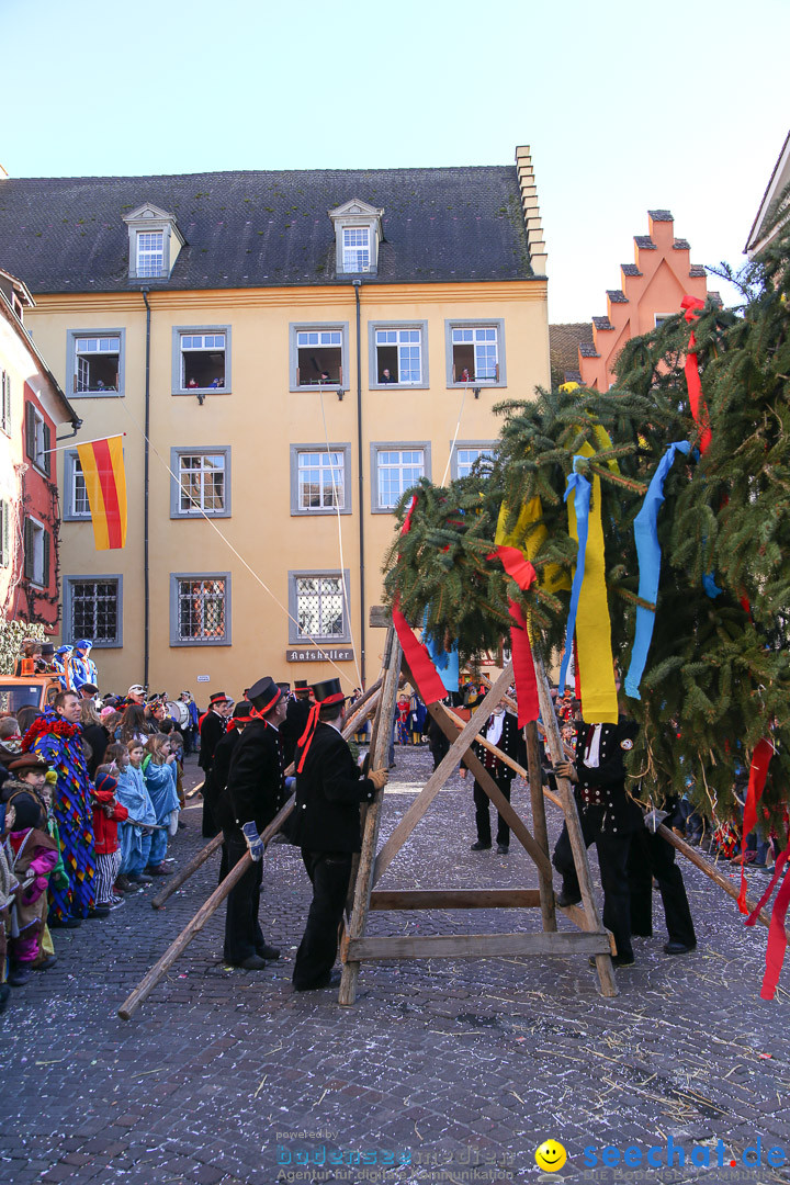 Narrensprung - Narrenbaumsetzen: Meersburg am Bodensee, 23.02.2014