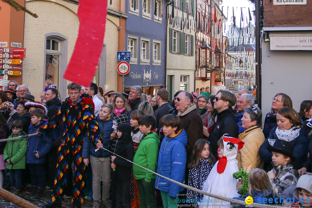 Narrensprung - Narrenbaumsetzen: Meersburg am Bodensee, 23.02.2014