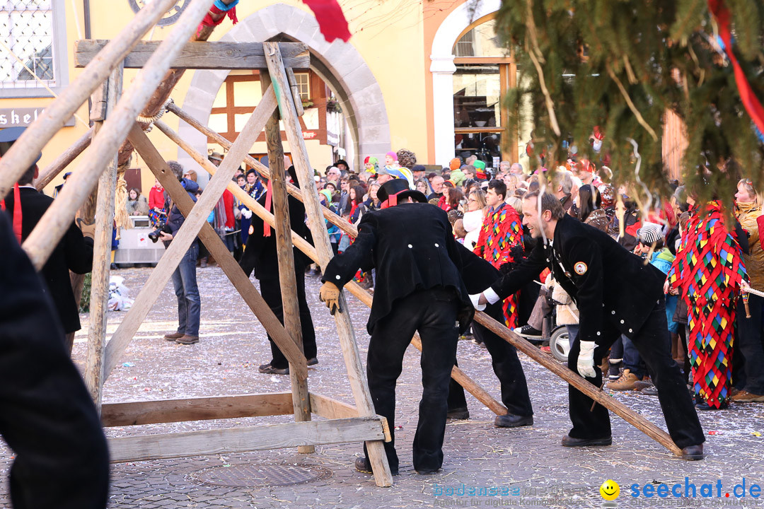 Narrensprung - Narrenbaumsetzen: Meersburg am Bodensee, 23.02.2014