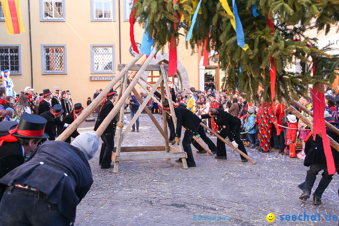 Narrensprung - Narrenbaumsetzen: Meersburg am Bodensee, 23.02.2014