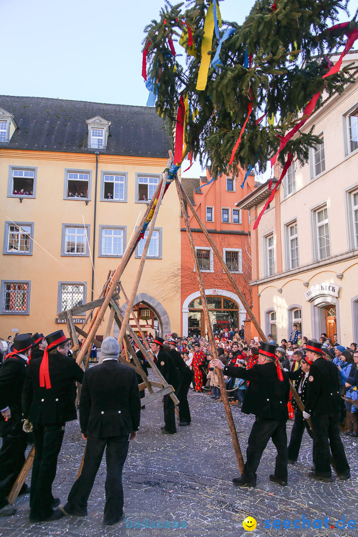 Narrensprung - Narrenbaumsetzen: Meersburg am Bodensee, 23.02.2014