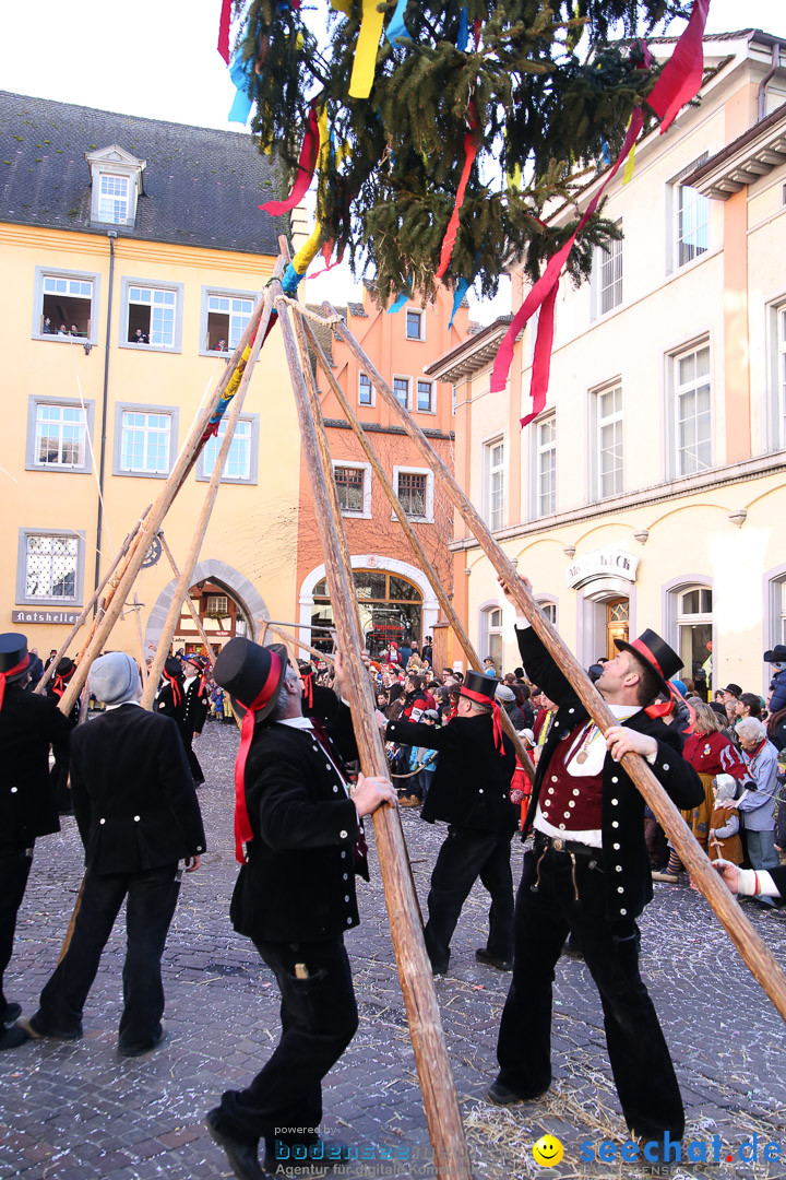 Narrensprung - Narrenbaumsetzen: Meersburg am Bodensee, 23.02.2014