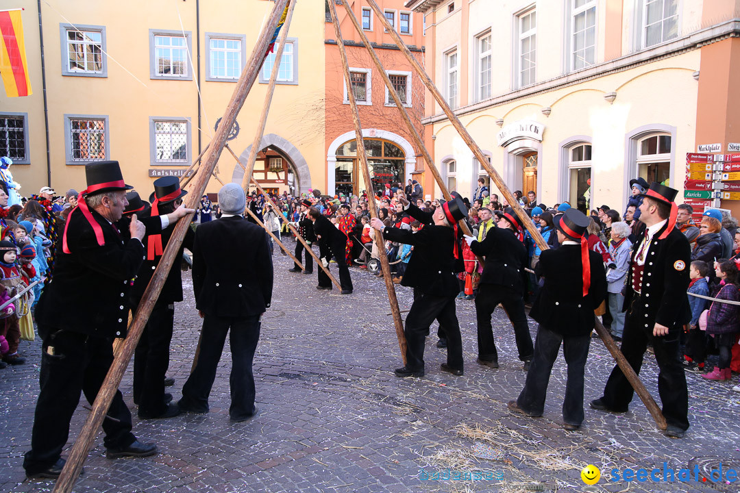 Narrensprung - Narrenbaumsetzen: Meersburg am Bodensee, 23.02.2014