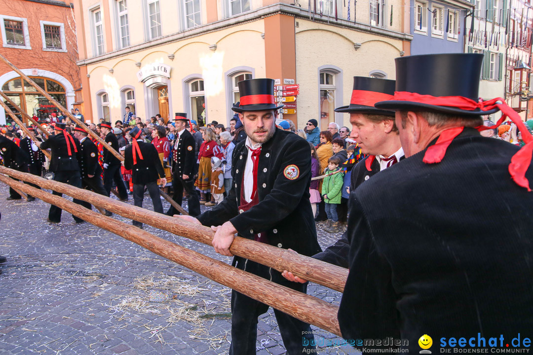 Narrensprung - Narrenbaumsetzen: Meersburg am Bodensee, 23.02.2014