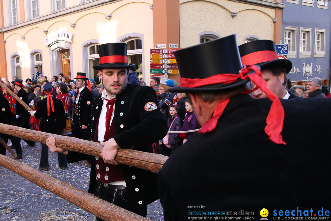 Narrensprung - Narrenbaumsetzen: Meersburg am Bodensee, 23.02.2014