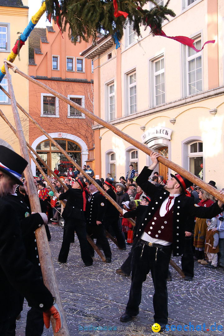 Narrensprung - Narrenbaumsetzen: Meersburg am Bodensee, 23.02.2014