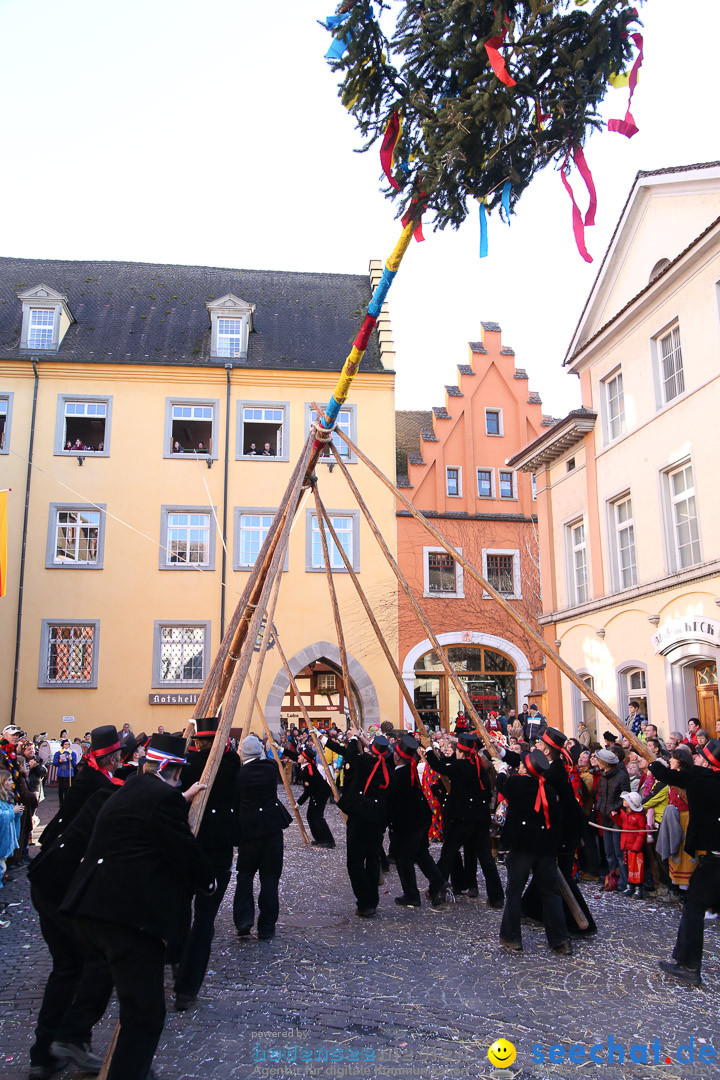 Narrensprung - Narrenbaumsetzen: Meersburg am Bodensee, 23.02.2014