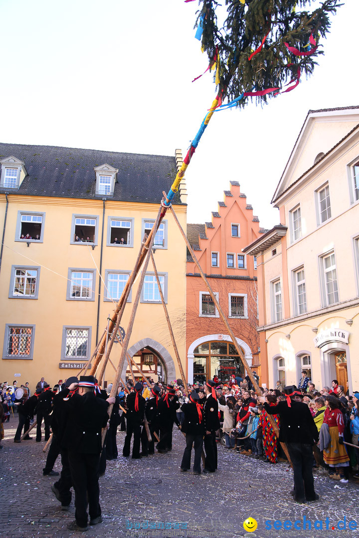 Narrensprung - Narrenbaumsetzen: Meersburg am Bodensee, 23.02.2014