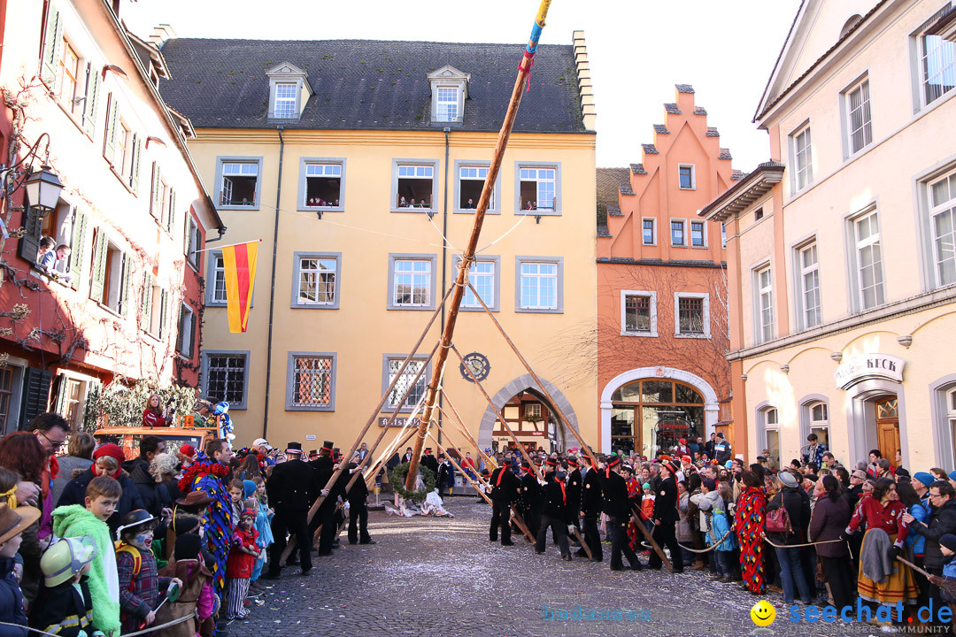 Narrensprung - Narrenbaumsetzen: Meersburg am Bodensee, 23.02.2014