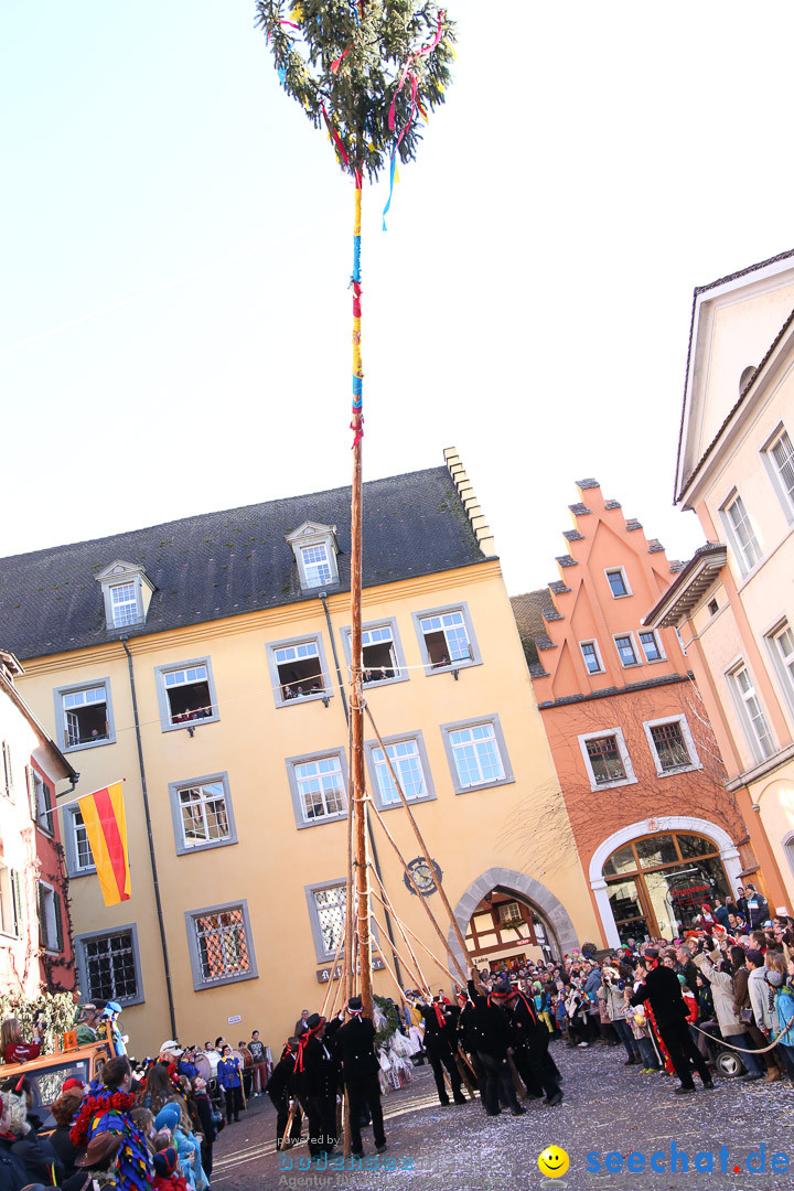 Narrensprung - Narrenbaumsetzen: Meersburg am Bodensee, 23.02.2014