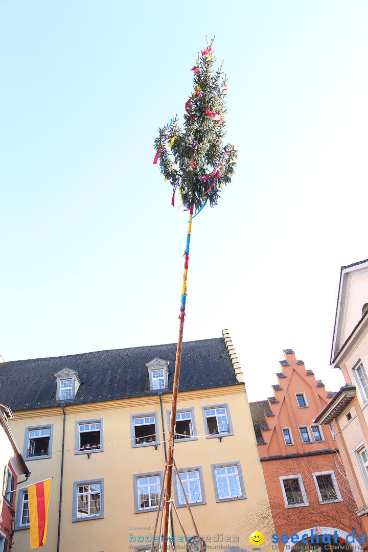 Narrensprung - Narrenbaumsetzen: Meersburg am Bodensee, 23.02.2014