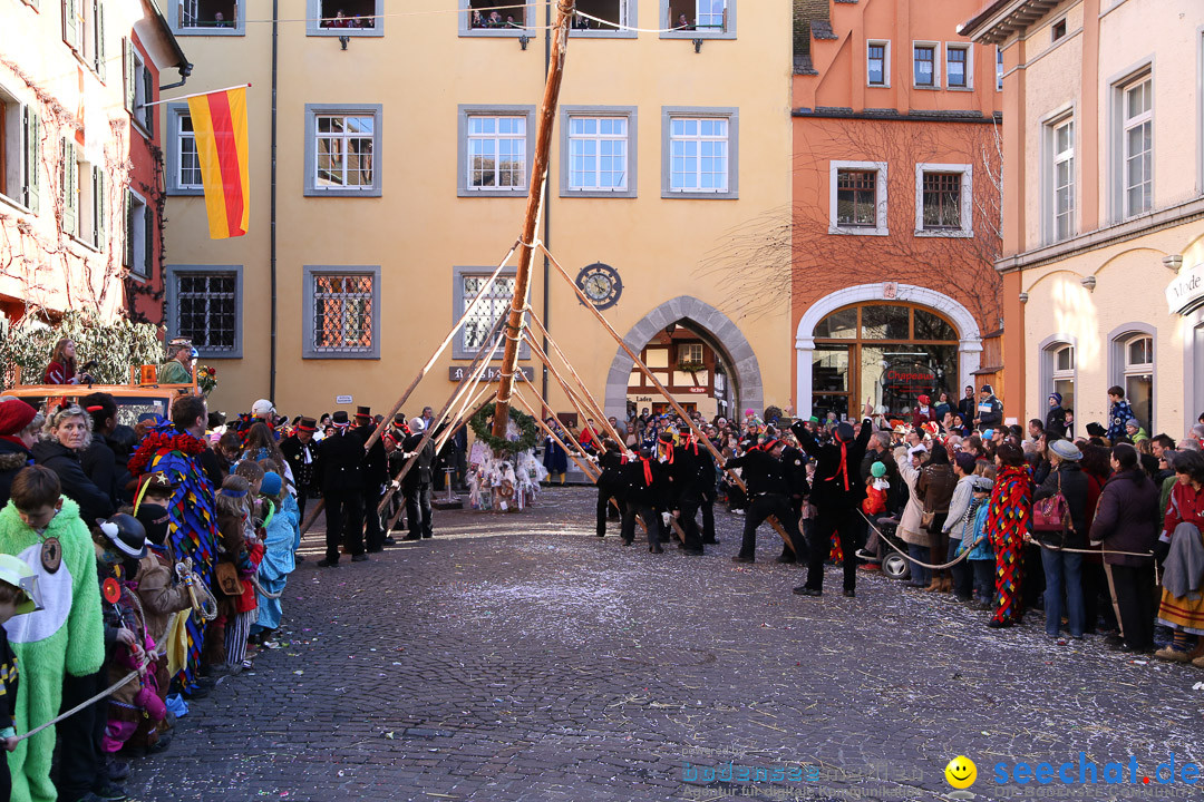 Narrensprung - Narrenbaumsetzen: Meersburg am Bodensee, 23.02.2014