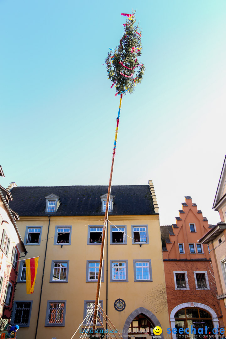 Narrensprung - Narrenbaumsetzen: Meersburg am Bodensee, 23.02.2014