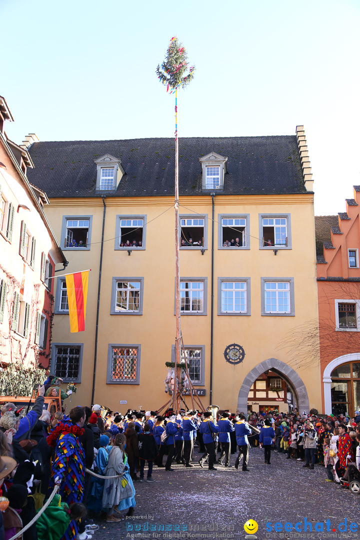 Narrensprung - Narrenbaumsetzen: Meersburg am Bodensee, 23.02.2014