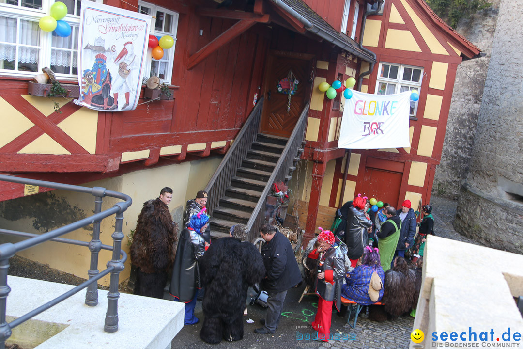 Narrensprung - Narrenbaumsetzen: Meersburg am Bodensee, 23.02.2014