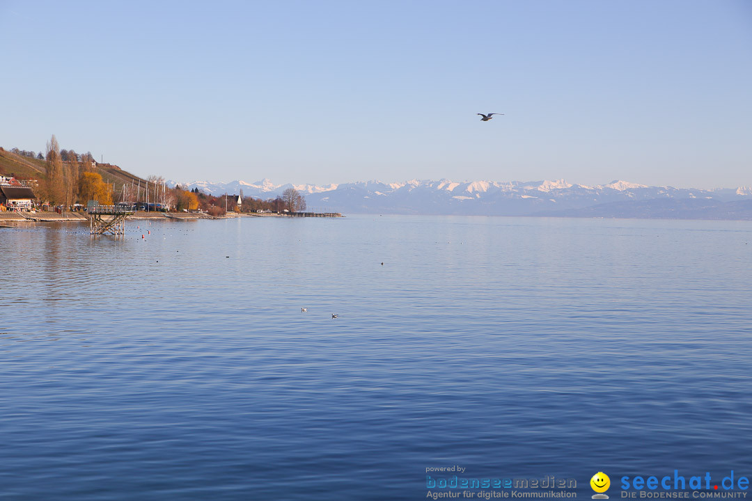 Narrensprung - Narrenbaumsetzen: Meersburg am Bodensee, 23.02.2014