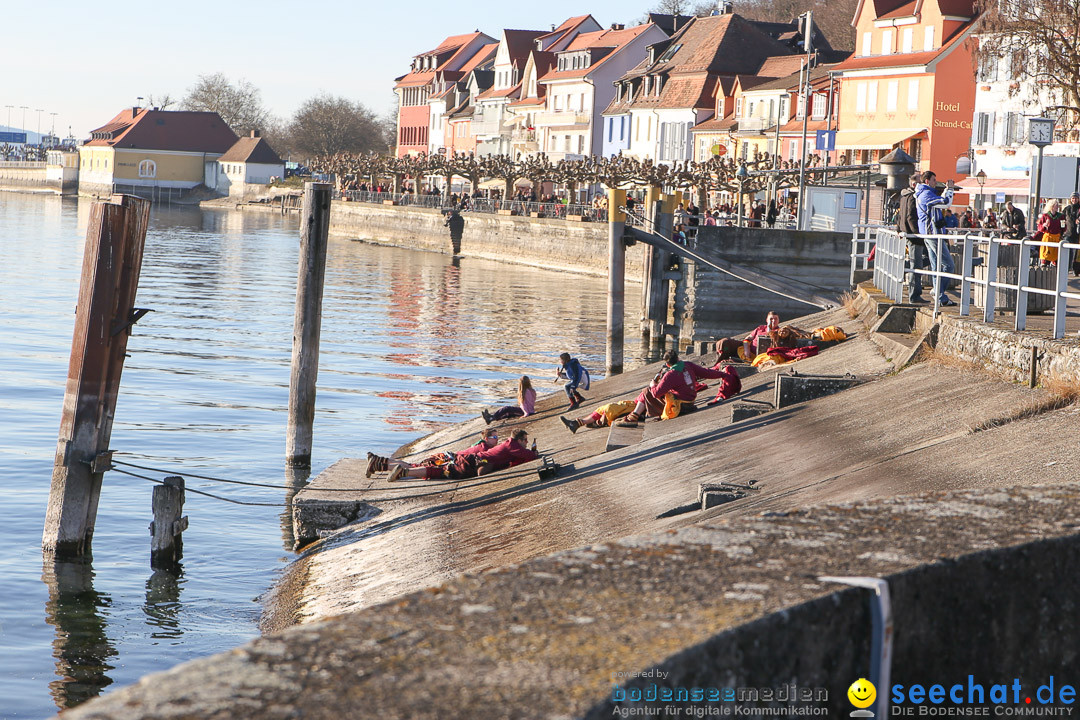 Narrensprung - Narrenbaumsetzen: Meersburg am Bodensee, 23.02.2014