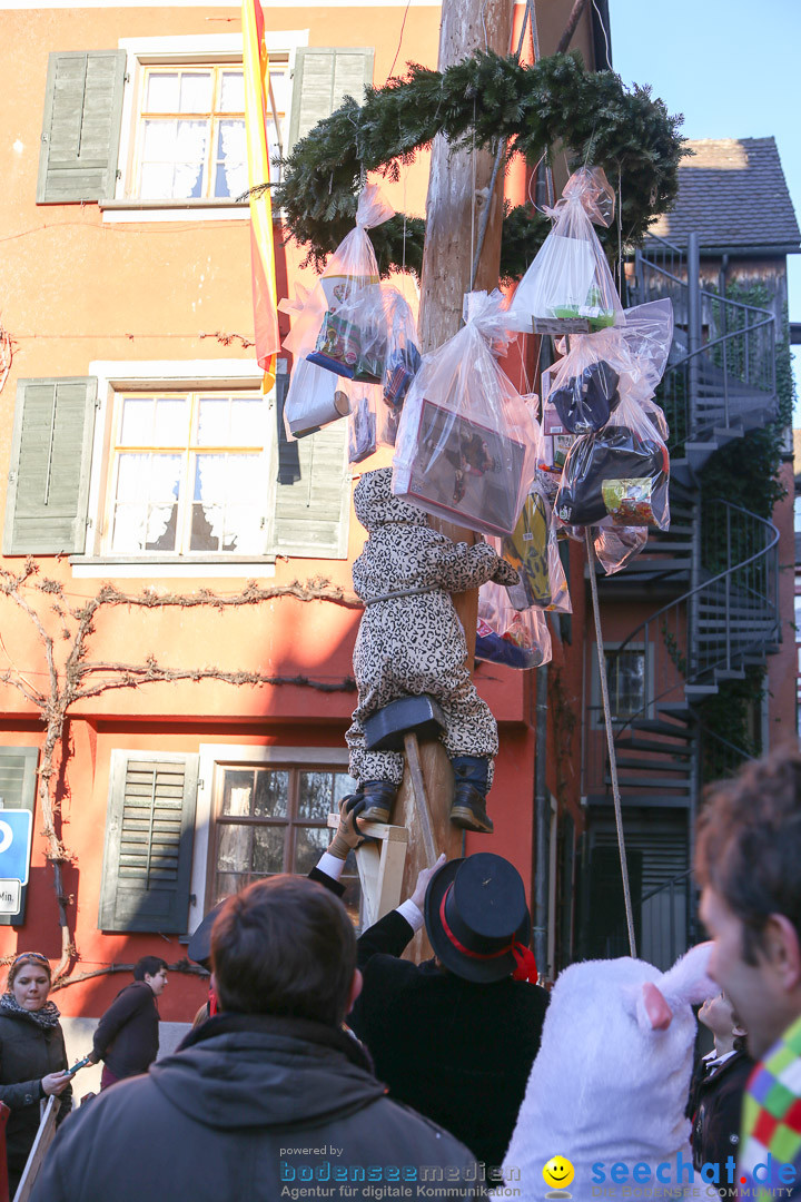 Narrensprung - Narrenbaumsetzen: Meersburg am Bodensee, 23.02.2014