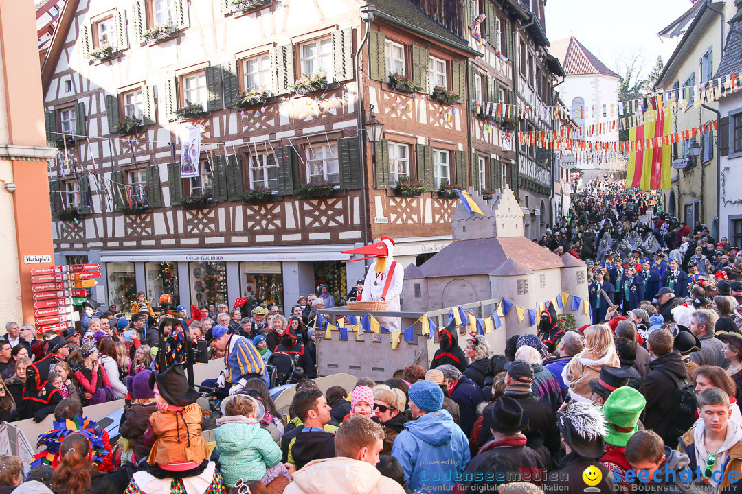 Narrensprung - Narrenbaumsetzen: Meersburg am Bodensee, 23.02.2014