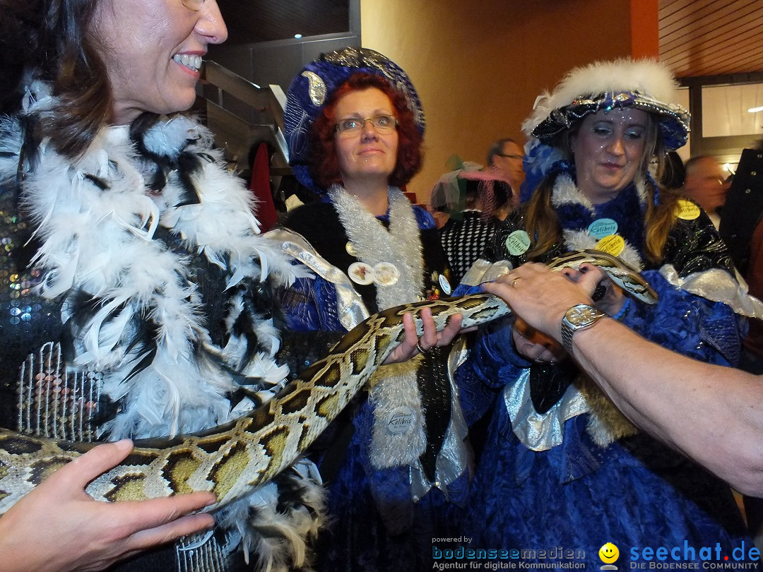 Bandscheiben-Ball mit Isabel Varell: Bad-Buchau am Bodensee, 21.02.2014