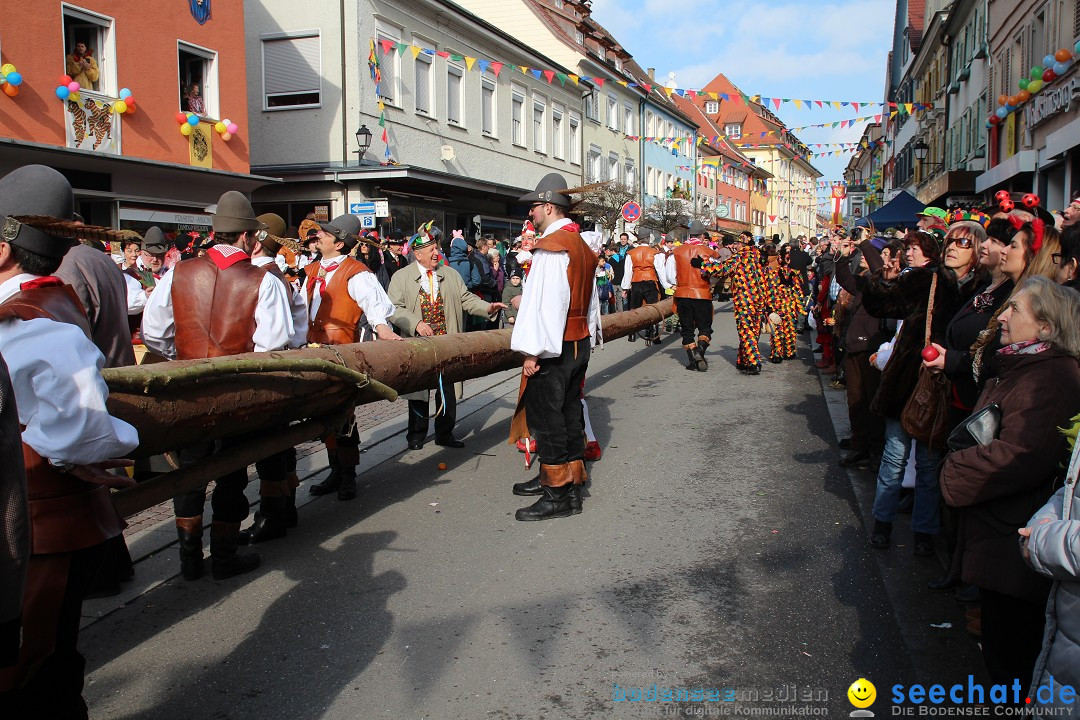 Narrenbaumstellen, Winfried Kretschmann: Stockach am Bodensee, 27.02.2014