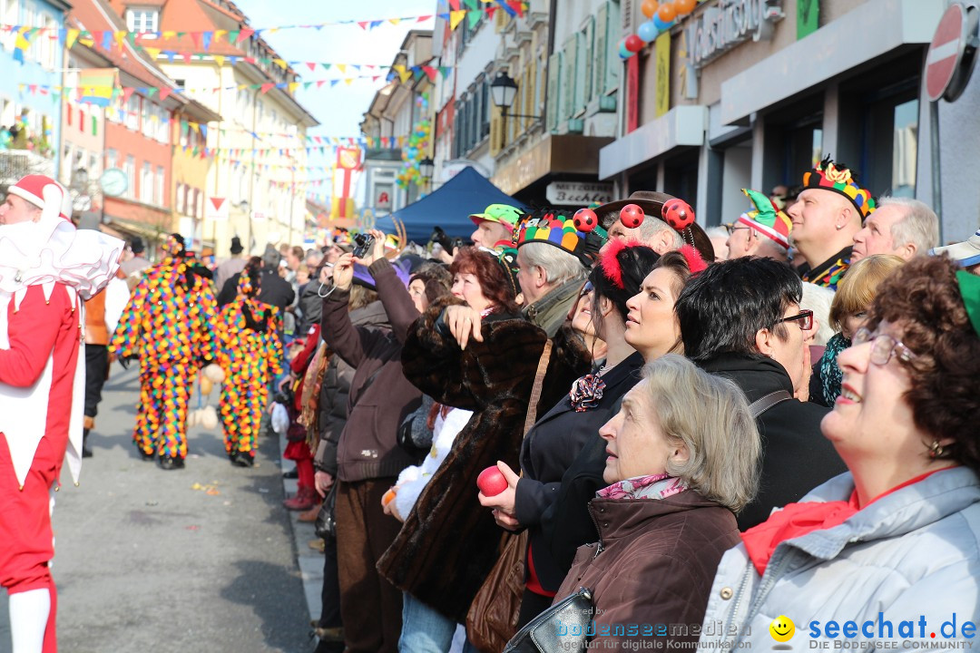 Narrenbaumstellen, Winfried Kretschmann: Stockach am Bodensee, 27.02.2014