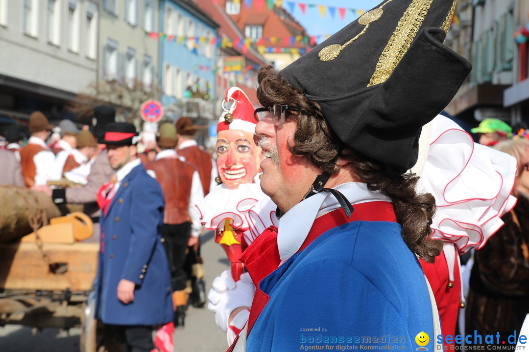 Narrenbaumstellen, Winfried Kretschmann: Stockach am Bodensee, 27.02.2014