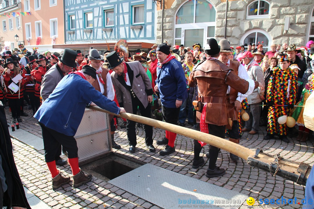 Narrenbaumstellen, Winfried Kretschmann: Stockach am Bodensee, 27.02.2014