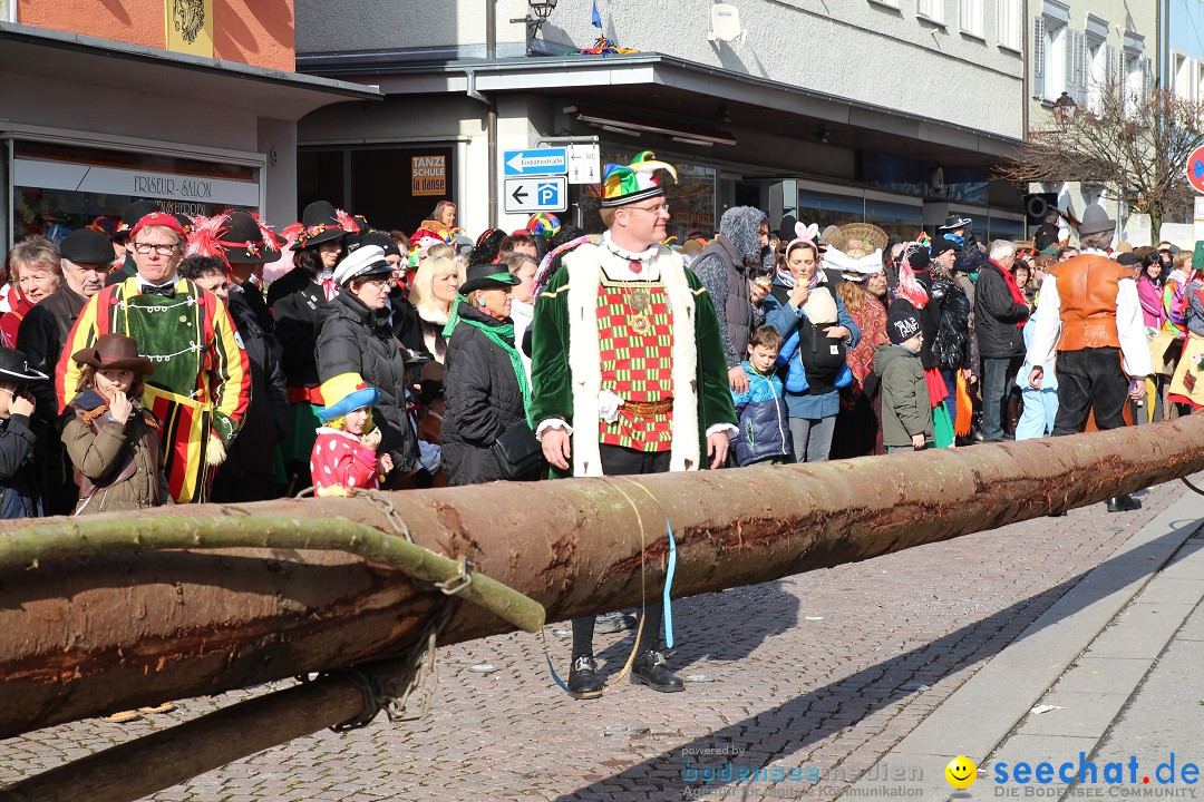 Narrenbaumstellen, Winfried Kretschmann: Stockach am Bodensee, 27.02.2014