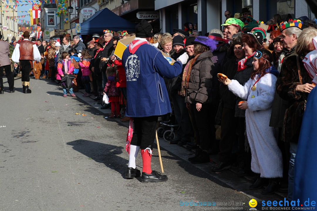 Narrenbaumstellen, Winfried Kretschmann: Stockach am Bodensee, 27.02.2014